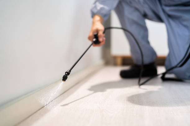 Licensed Fumigation Services service in Pontotoc County County, MS - Nex Pest Control